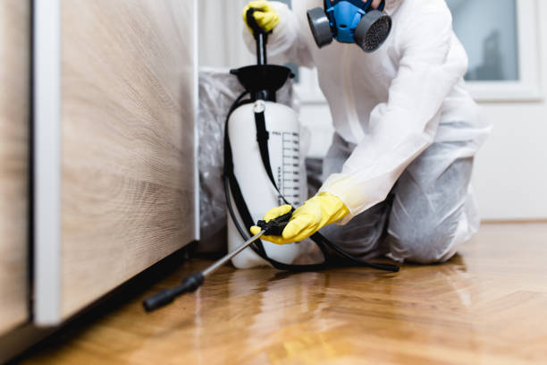 Best Local Pest Control Services  in Dawson, GA