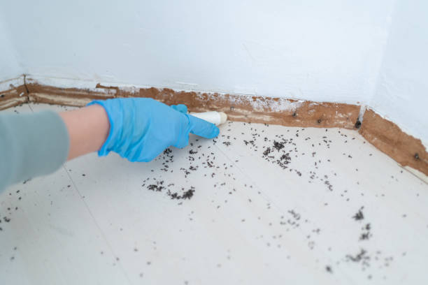 Best Commercial Pest Control Services  in Dawson, GA